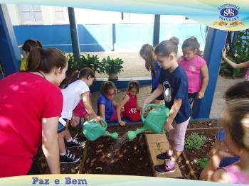 2º ano - Projeto Feijão