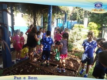 2º ano - Projeto Feijão