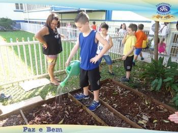 2º ano - Projeto Feijão