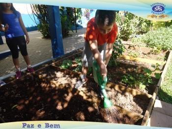 2º ano - Projeto Feijão