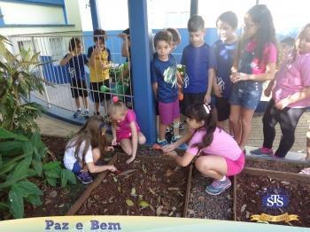 2º ano - Projeto Feijão