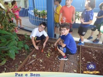 2º ano - Projeto Feijão