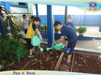 2º ano - Projeto Feijão