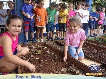 2º ano - Projeto Feijão