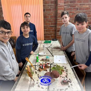 Zoológico Interativo | 7º ano 