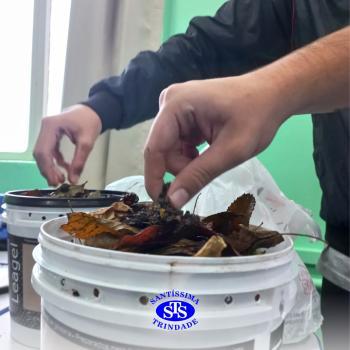 Alunos realizam atividade de compostagem | Consciência Ambiental