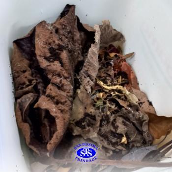 Alunos realizam atividade de compostagem | Consciência Ambiental