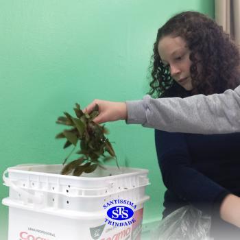 Alunos realizam atividade de compostagem | Consciência Ambiental