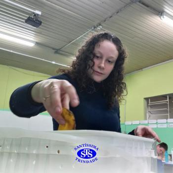 Alunos realizam atividade de compostagem | Consciência Ambiental