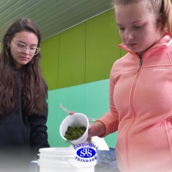 Alunos realizam atividade de compostagem | Consciência Ambiental