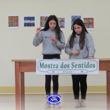 6º ano | Mostra dos Sentidos