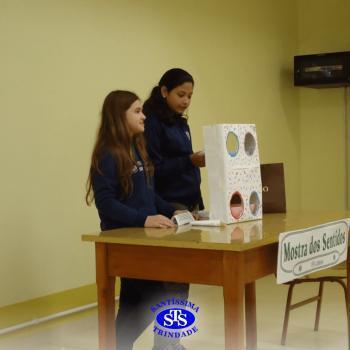 6º ano | Mostra dos Sentidos