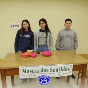 6º ano | Mostra dos Sentidos