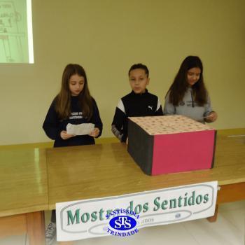 6º ano | Mostra dos Sentidos
