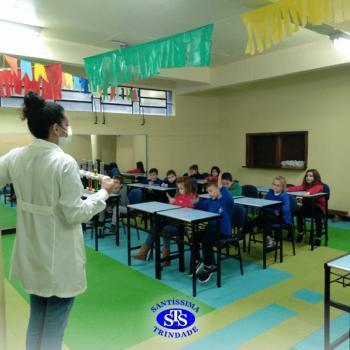 1º ano | Como o milho vira pipoca? 