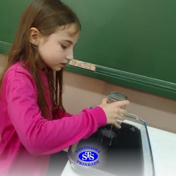 Fases da vida são estudadas através de atividades práticas | 2º ano