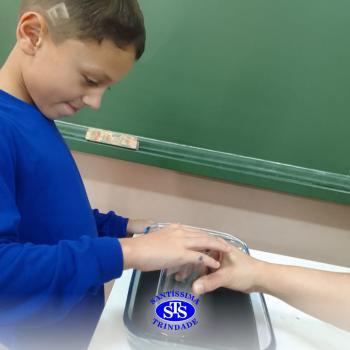 Fases da vida são estudadas através de atividades práticas | 2º ano