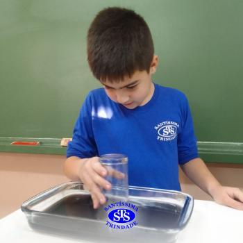 Fases da vida são estudadas através de atividades práticas | 2º ano