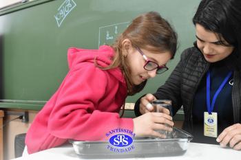 Fases da vida são estudadas através de atividades práticas | 2º ano