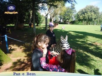 1º ano - Parque Franciscano STS