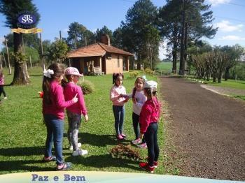 1º ano - Parque Franciscano STS