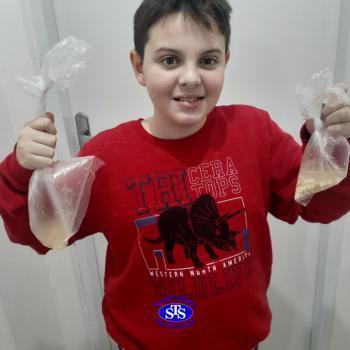 5º ano | Dentes para quê? 