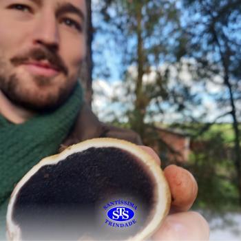 Alunos participam de expedição para estudar fungos no Parque Franciscano | 3ª série