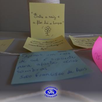 Âncora dos Sentimentos | 1ª série EM