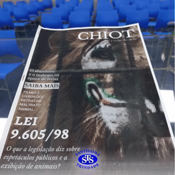 Revistas temáticas são produzidas pelos alunos do Novo Ensino Médio