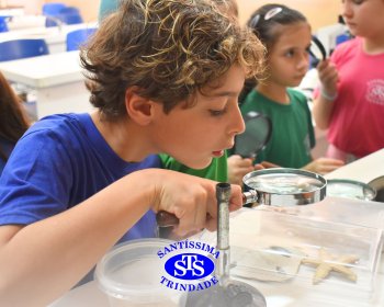 Alunos exploram as plantas no Laboratório de Ciências