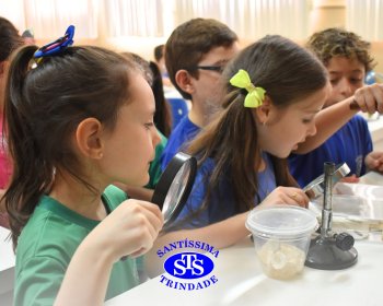 Alunos exploram as plantas no Laboratório de Ciências