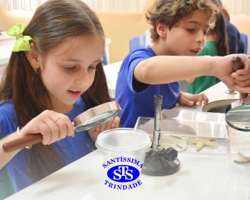 Alunos exploram as plantas no Laboratório de Ciências