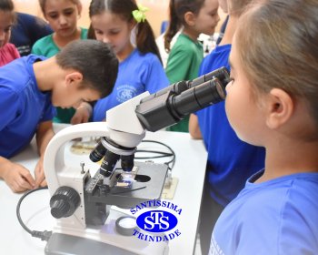 Alunos exploram as plantas no Laboratório de Ciências