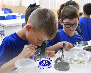 Alunos exploram as plantas no Laboratório de Ciências