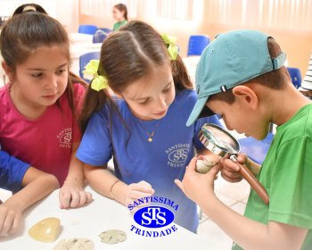 Alunos exploram as plantas no Laboratório de Ciências