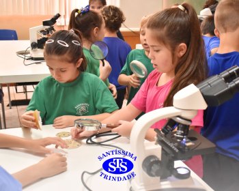 Alunos exploram as plantas no Laboratório de Ciências