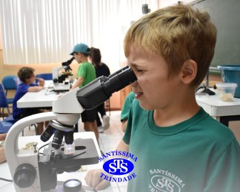 Alunos exploram as plantas no Laboratório de Ciências