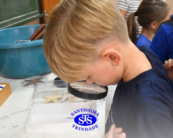 Alunos exploram as plantas no Laboratório de Ciências