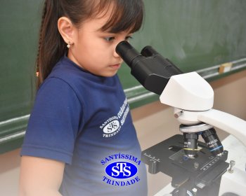 Alunos exploram as plantas no Laboratório de Ciências