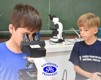 Alunos exploram as plantas no Laboratório de Ciências