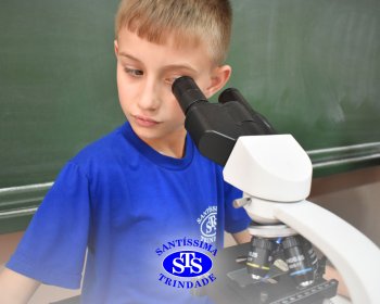 Alunos exploram as plantas no Laboratório de Ciências
