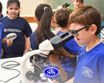 Alunos exploram as plantas no Laboratório de Ciências