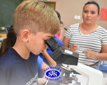 Alunos exploram as plantas no Laboratório de Ciências
