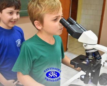 Alunos exploram as plantas no Laboratório de Ciências