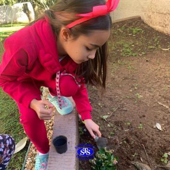 3º ano - aprendendo a cuidar da natureza