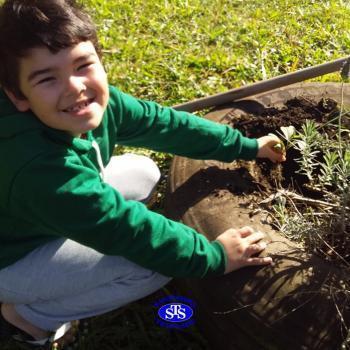 3º ano - aprendendo a cuidar da natureza