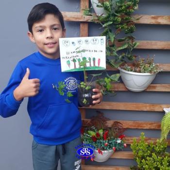 3º ano - aprendendo a cuidar da natureza