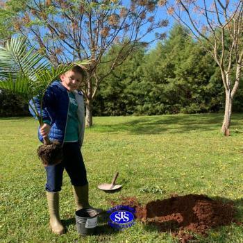 3º ano - aprendendo a cuidar da natureza