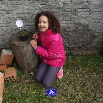 3º ano - aprendendo a cuidar da natureza