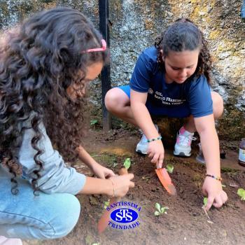 Alunos do 5º ano constroem horta 